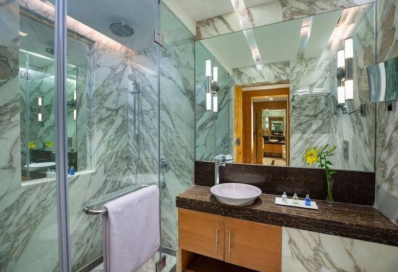 Radisson Blu Marina Hotel Connaught Place