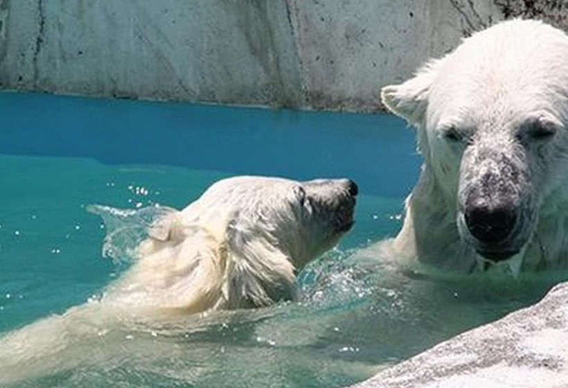 Sapporo Prince Hotel   December 20th, 2024 Club Floor Renewal Opening!