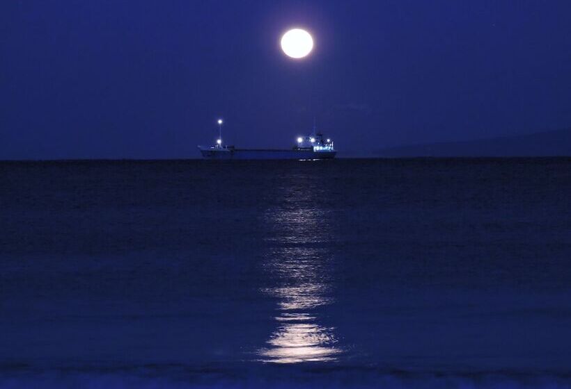 فندق Shimoda Prince