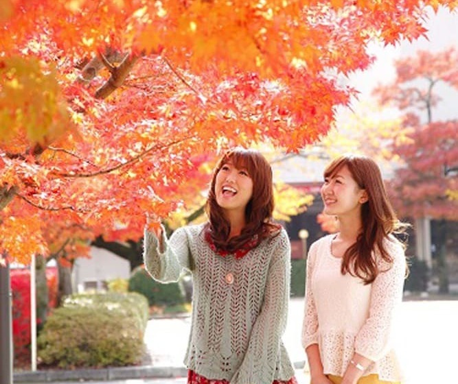 ホテル Hida Takayama Onsen Takayama Green