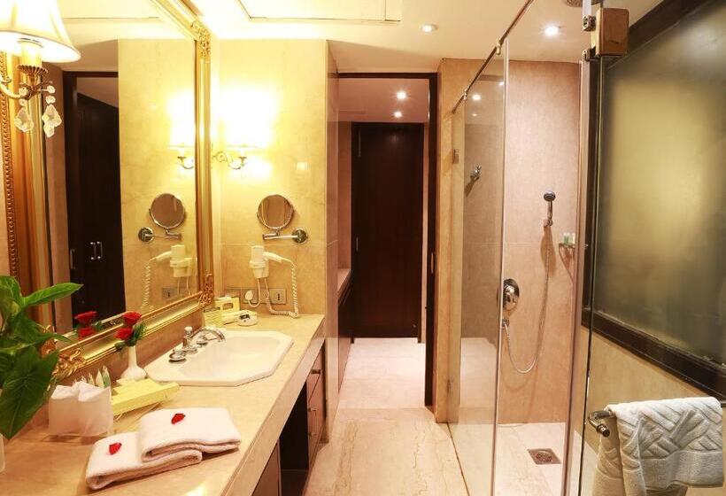 Отель The Ashok, New Delhi