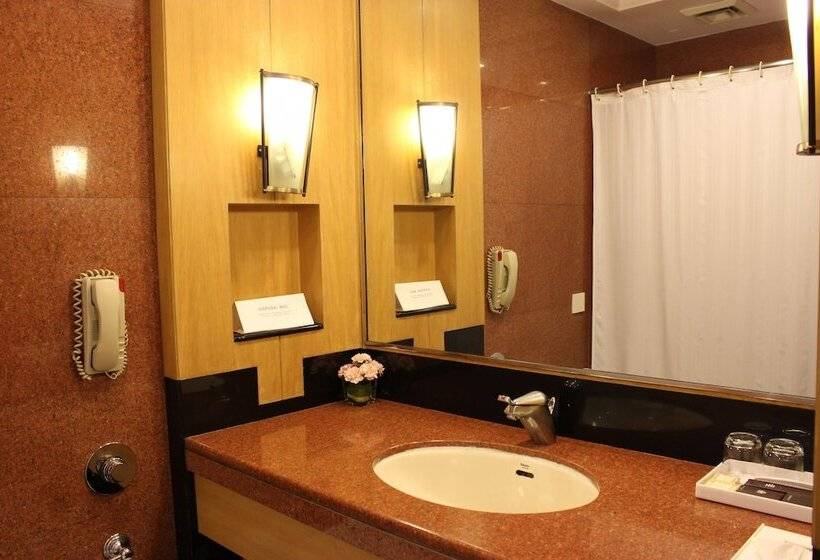 فندق The Hans, New Delhi