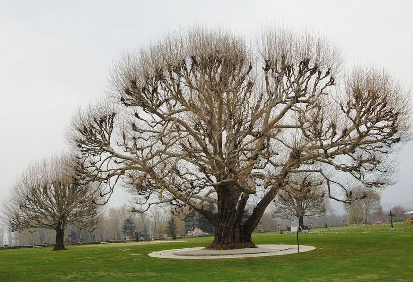 Hotel The Lalit Grand Palace Srinagar