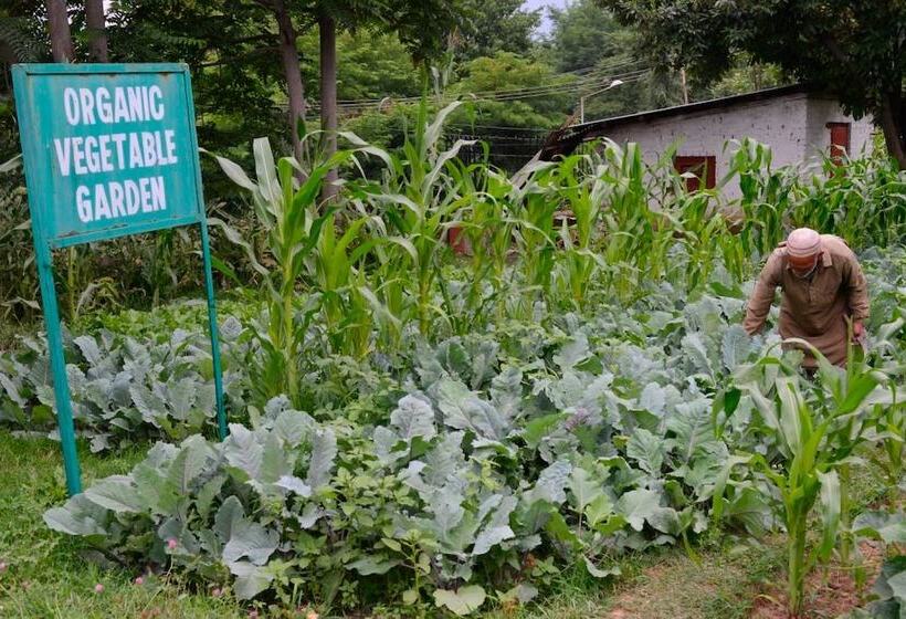 Hotel The Lalit Grand Palace Srinagar