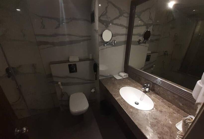 酒店 The Piccadily  Chandigarh