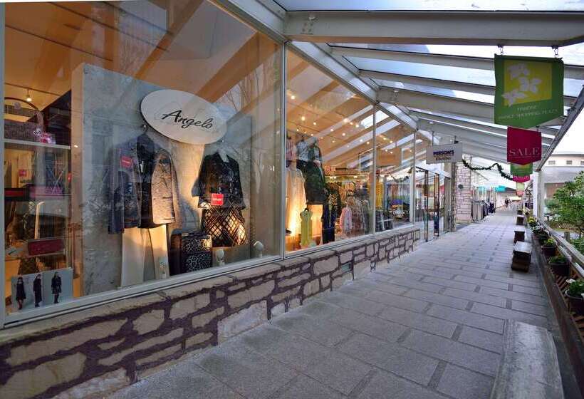 酒店 The Prince Hakone Lake Ashinoko