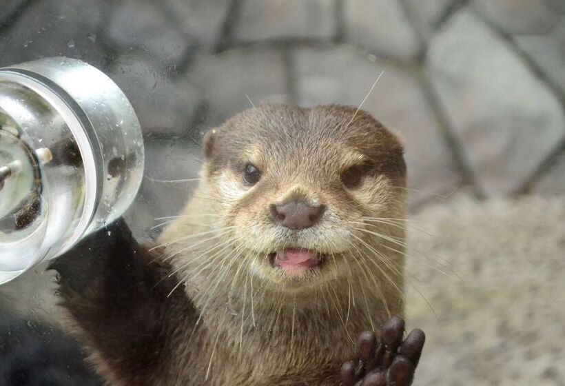 酒店 The Prince Hakone Lake Ashinoko