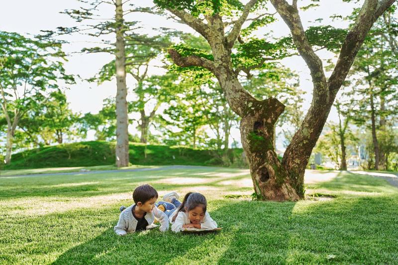 Отель The Ritzcarlton, Nikko