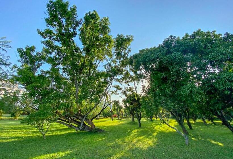 فندق Trident Bhubaneswar