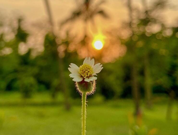 فندق Trident Bhubaneswar