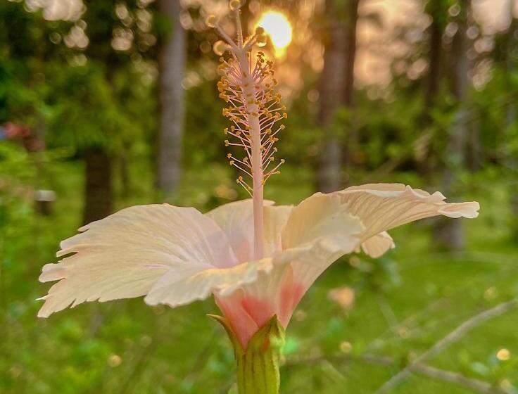 فندق Trident Bhubaneswar