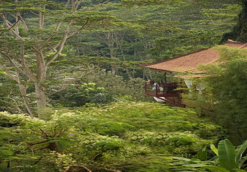 渡假胜地  Kupu Kupu Barong Villas And Tree Spa By L’occitane