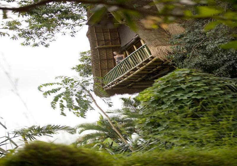 渡假胜地  Kupu Kupu Barong Villas And Tree Spa By L’occitane