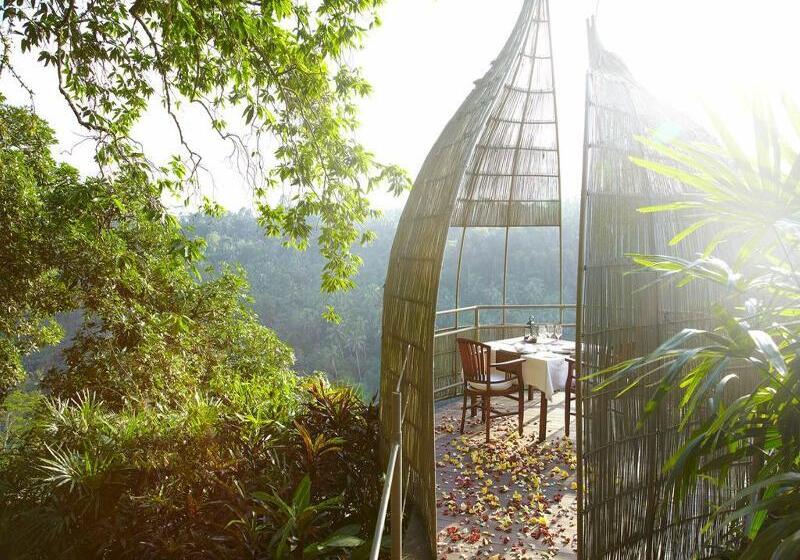 渡假胜地  Kupu Kupu Barong Villas And Tree Spa By L’occitane