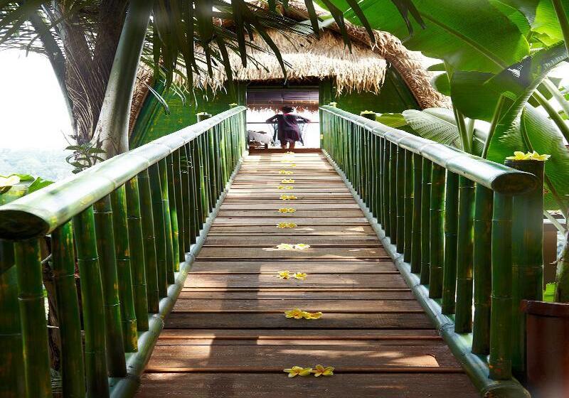 渡假胜地  Kupu Kupu Barong Villas And Tree Spa By L’occitane
