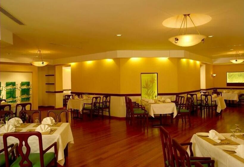 هتل The International