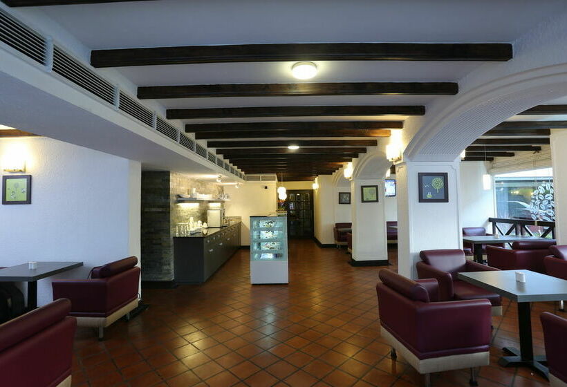 هتل The International