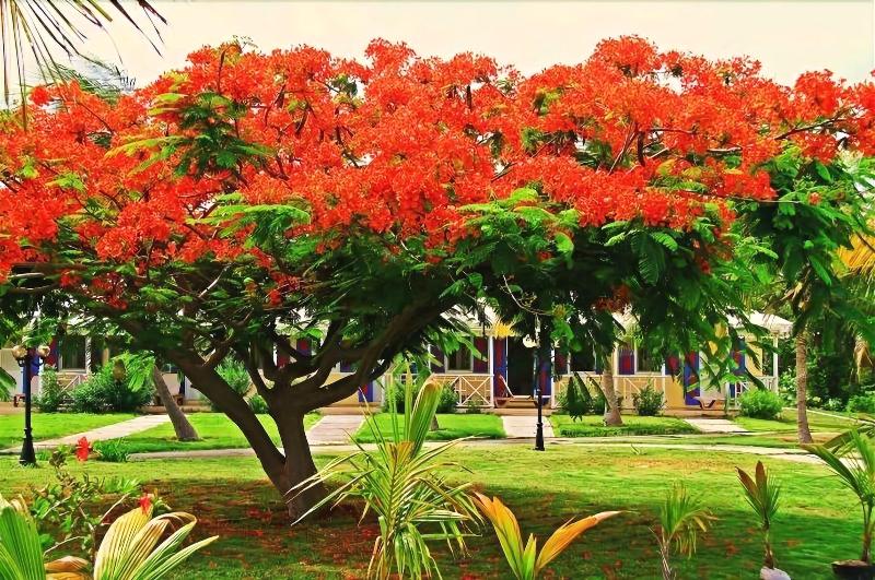 فندق Anguilla Great House Beach Resort