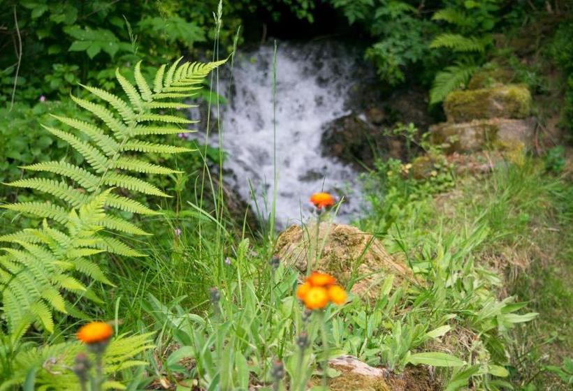 酒店 Hôtel Au Vieux Moulin