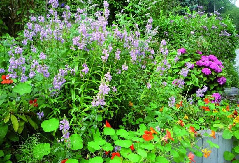 酒店 Hôtel Au Vieux Moulin