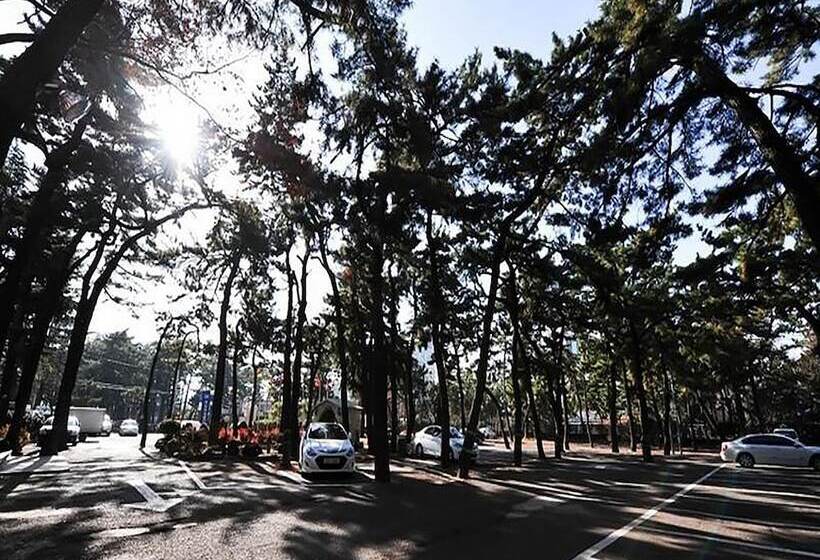 Commodore Hotel Pohang