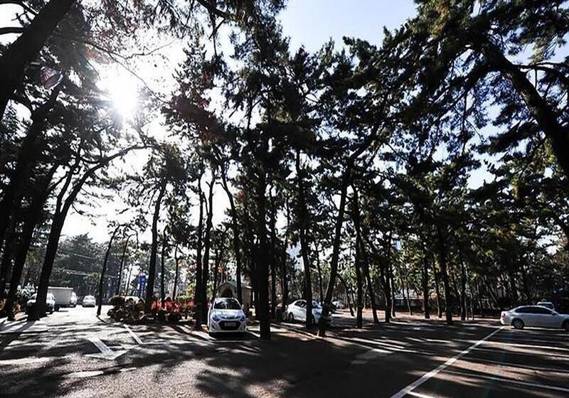 Commodore Hotel Pohang