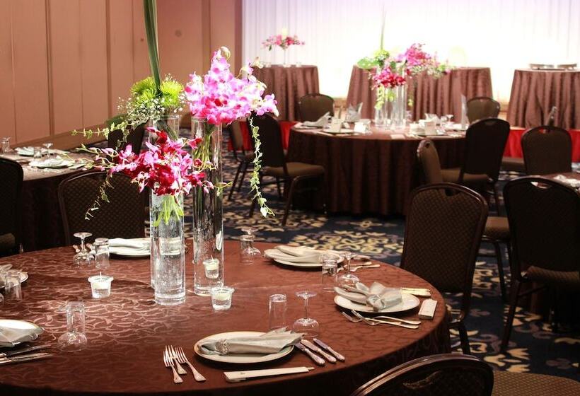 Отель Grand Terrace Toyama