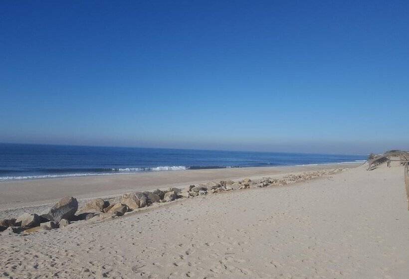 ホテル Hamilton Agadir