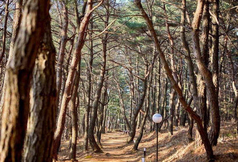 בית מלון כפרי Kolon