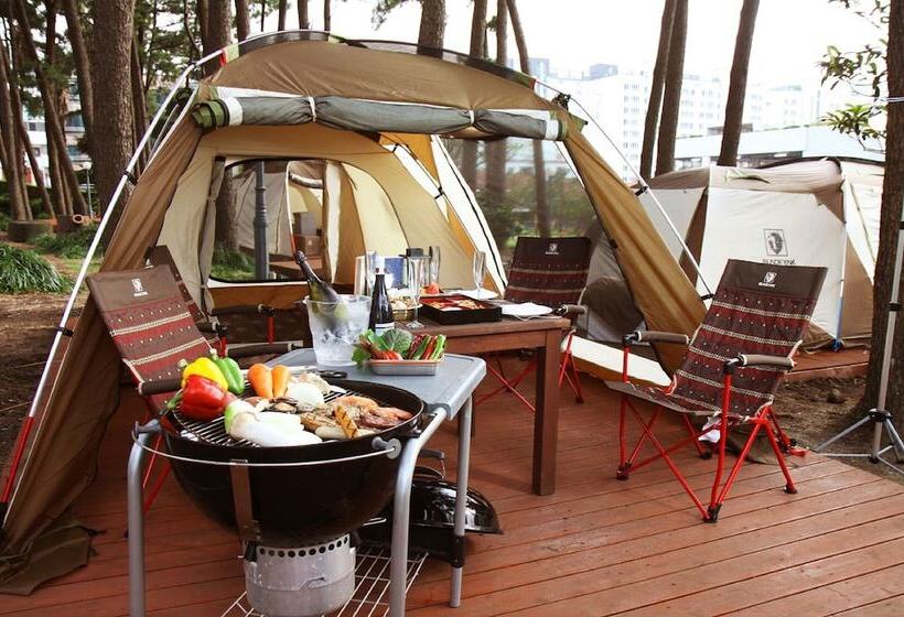 ホテル Maison Glad Jeju