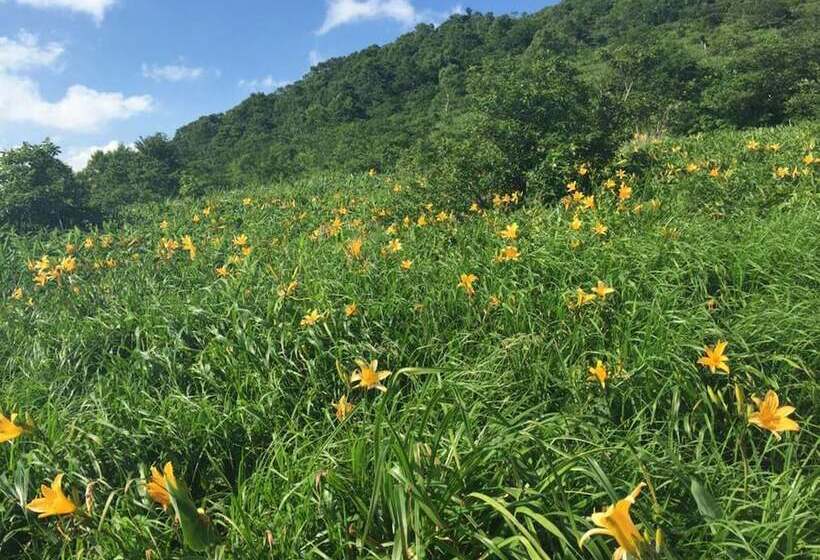 فندق Naeba Prince