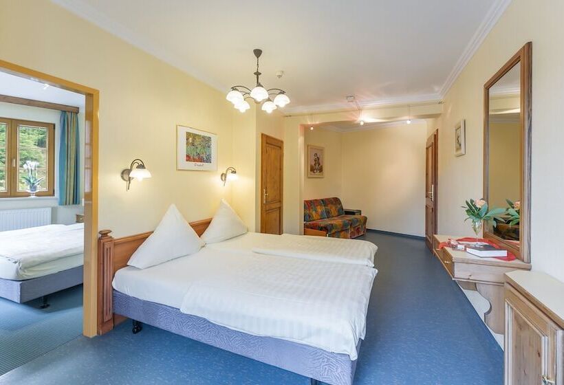 Logis Hotel Restaurant Petry