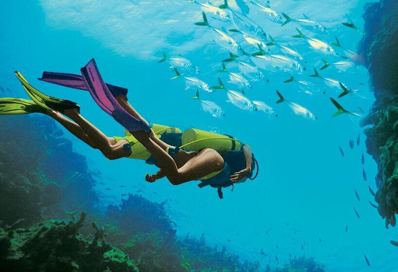 فندق Sandals Montego Bay   All Inclusive Couples Only