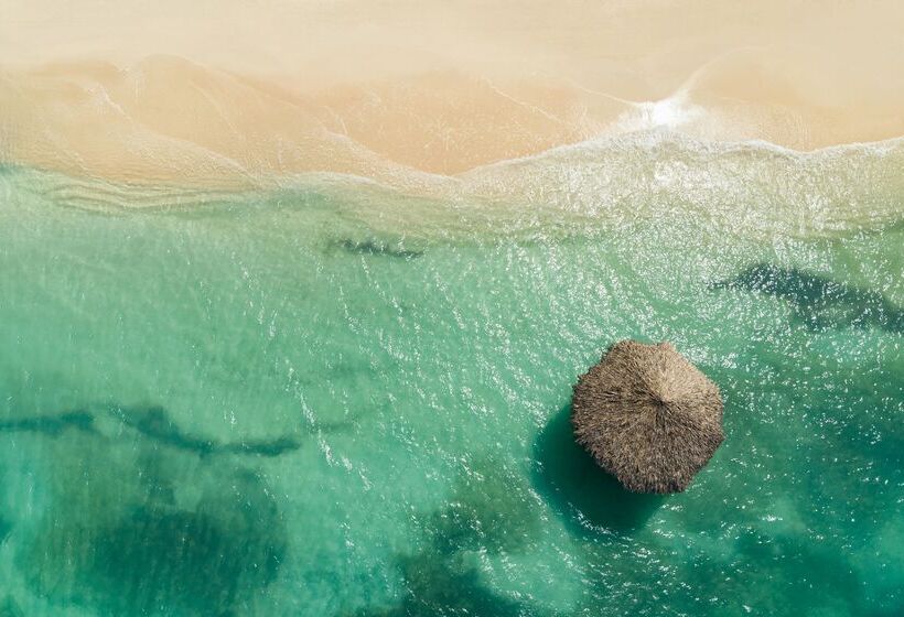 فندق Sandals Montego Bay   All Inclusive Couples Only