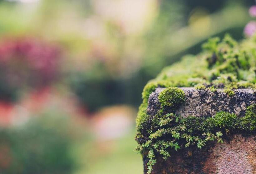 Smokehouse Hotel Cameron Highlands