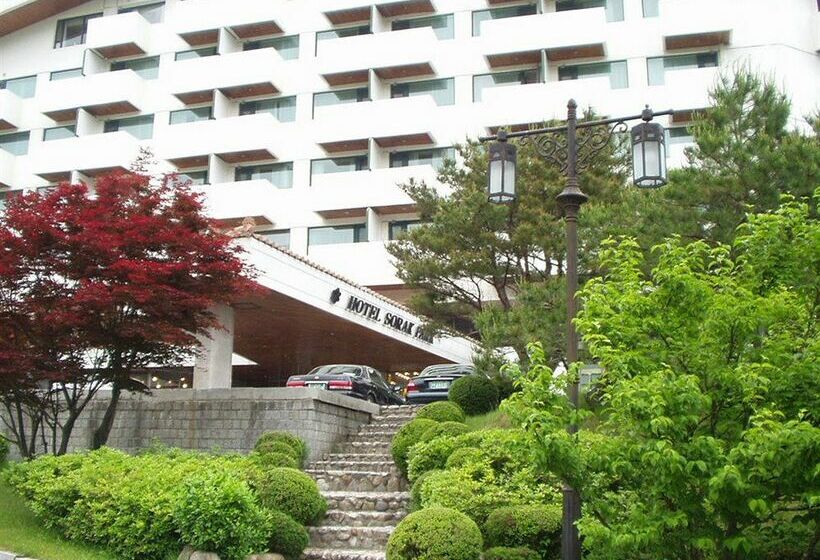 בית מלון כפרי Sorak Park