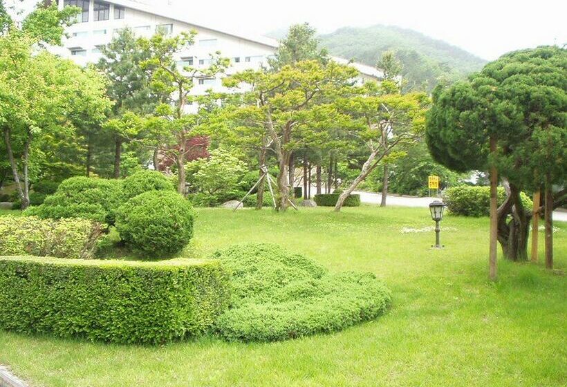 בית מלון כפרי Sorak Park