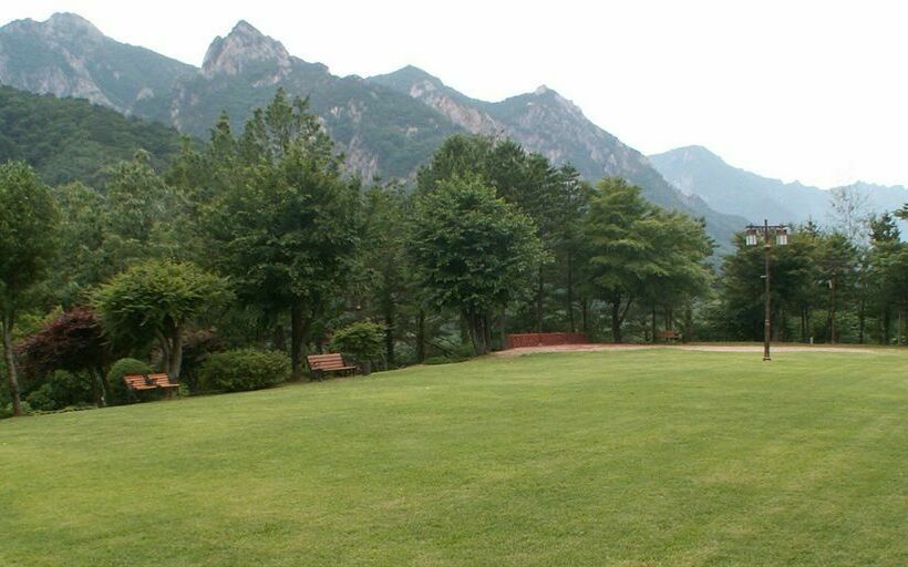 בית מלון כפרי Sorak Park