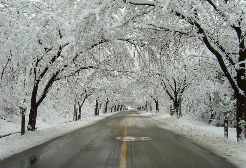 בית מלון כפרי Sorak Park