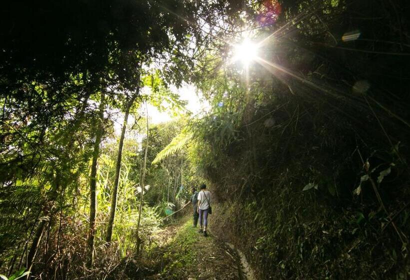 فندق The Lakehouse Cameron Highlands