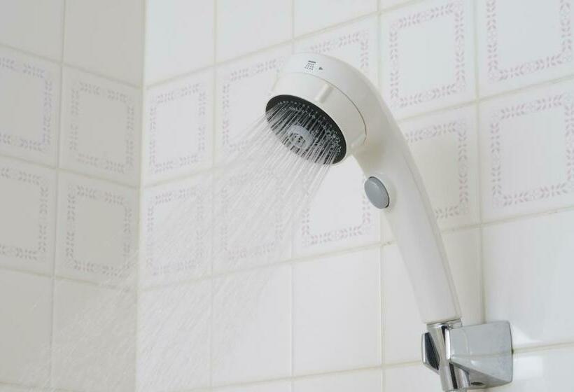 Отель Toyama Daiichi