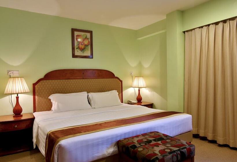 בית מלון כפרי Winner