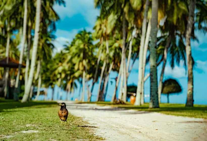 Pelangi Beach Resort & Spa, Langkawi