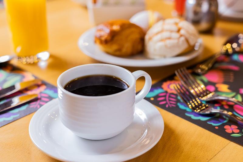 هتل Camino Real Polanco Mexico