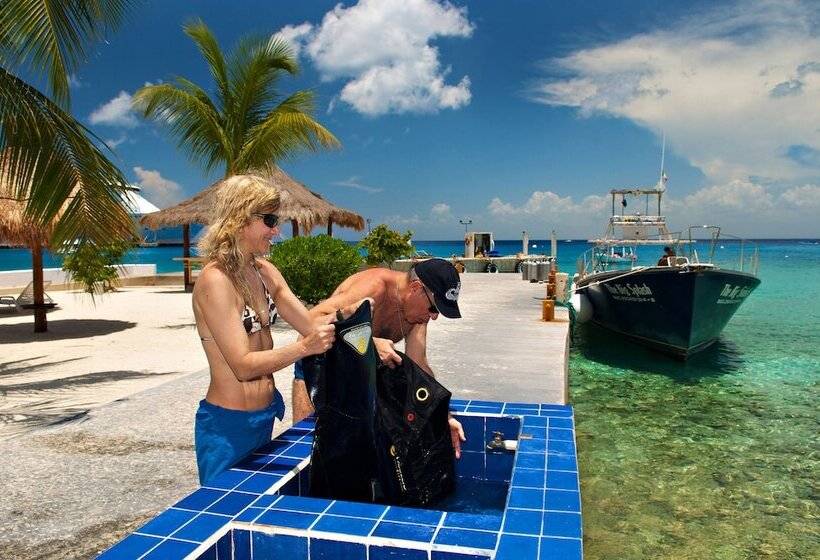Casa Del Mar Cozumel Hotel & Dive Resort
