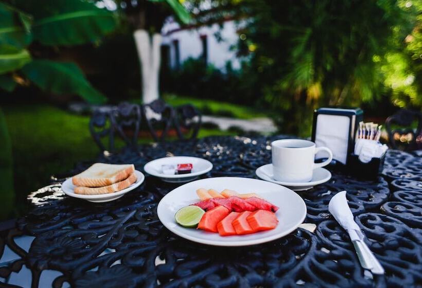 בית מלון כפרי Colon Merida