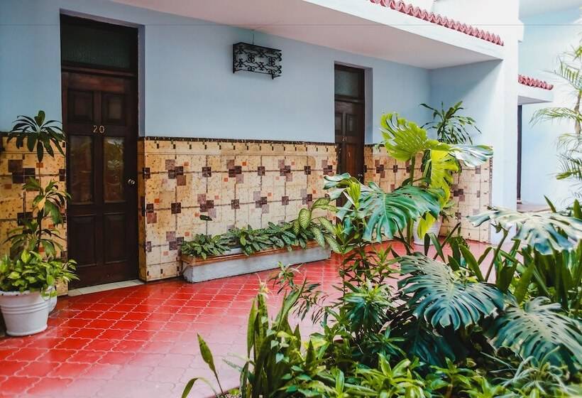 בית מלון כפרי Colon Merida