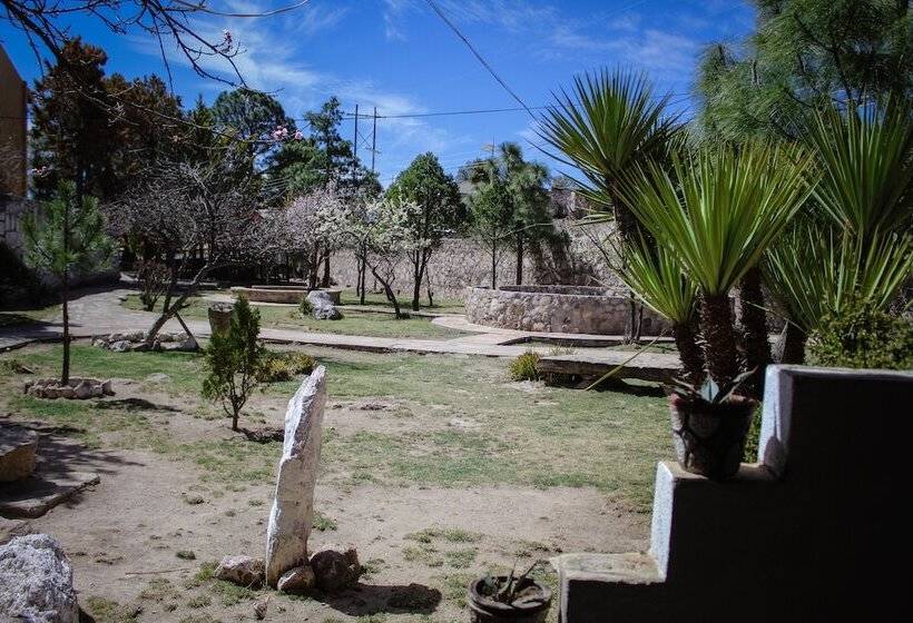 فندق Divisadero Barrancas