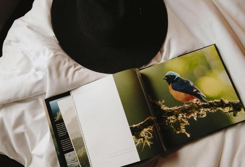 ホテル Docecuartos