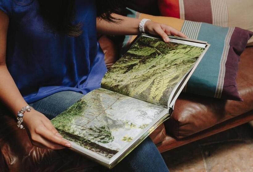 ホテル Docecuartos